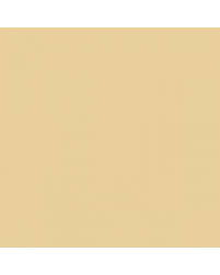 Image result for Vanille 1987 Renault