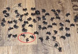 Spinnen Ratsel Halloween Spiele Partiesserie Halloween Ratsel Halloween Spiele Spinne