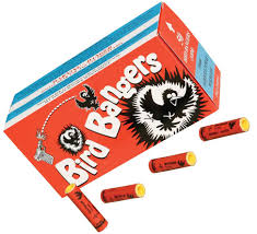 Bird Banger Pyrodata