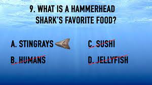 Jul 21, 2017 · for more shark facts and trivia head to discovery channel's sharkopedia. Shark Week Trivia Games Download Youth Ministry