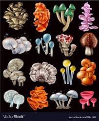 Pin On Magick
