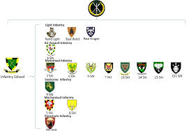 Sandf denies reports that soldiers have been deployed to nkandla to confront zuma supporters. South African Army Infantry Formation Wikipedia