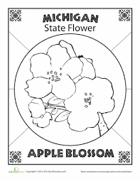 Michigan State Flower Worksheet Education Com Flower Coloring Pages Arkansas State Coloring Pages