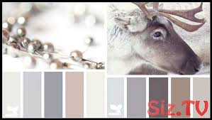 Welche Farbe Fur Kuche Farbpalette Neutrale Farben Grau Creme Braun Kuche Farbe Kuche Farbideen Wandfarbe Kuche
