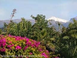 Die aktuelle wettervorhersage für tenerife für die nächsten 9 tage. Das Wetter Und Klima Auf Teneriffa 19 C 30 C