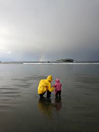 We did not find results for: Tofino Road Trip With A Foodie And Two Toddlers My Kitchen Love