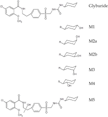 Image result for Glyburide