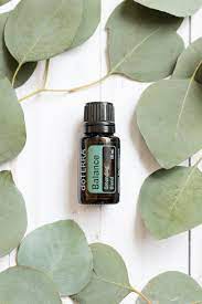 How i use doterra balance in my daily oil routine Aromatouch Technique Doterra Balance Grounding Blend DÅterra Essential Oils