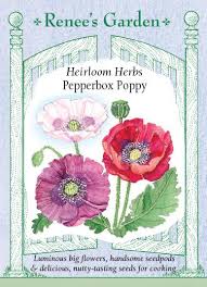 Opium poppies are annual wildflowers that come in a wide range of colors, from white to deep purple (with scarlet and pink stops along the way). Pepperbox Poppy Heirloom Herbs Renee S Garden Seeds