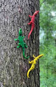 Ok, for all those people that rode...