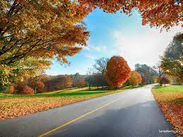 beautiful roads landscape wallpaper hd nature wallpapers scenery wallpaper