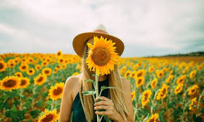 23 Instagram Captions For Every Flower Child S Sunflower Field Snaps Summer Instagram Captions Instagram Captions Summer Captions