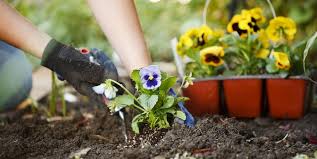 Using salt directly on your weeds is a sure way to suffocate and kill these unwanted pests in your garden. 7 Chemical Free Homemade Weed Killers For Your Garden