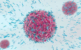 Sida is sweden's government agency for development cooperation. Elle Est La Premiere Patiente Guerie Du Vih Apres Une Transplantation De Cellule Souche