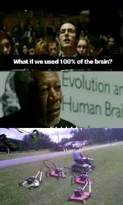 Does this mean that you would be just fine if 90% of your brain was removed? 100 Use Of Brain Meme 10lilian