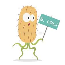 Pin On Holiday Flyer Party Invitations