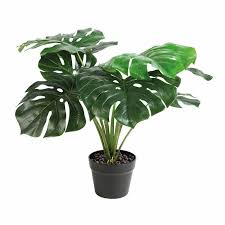 K Amsterdam Monstera Kunstplant Kunstplanten Buiten Potplanten Planten