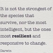 Marx called darwin a plagiarist and malthus a fraud. Resilience Is Important To Anyone But Especially In Entrepreneurship Where A Shower Of Adversi Resilience Quotes Inspirational Quotes Love Yourself Quotes