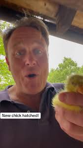 Welcome to the farm to the little lady Sunday. New chick is born. #oggy