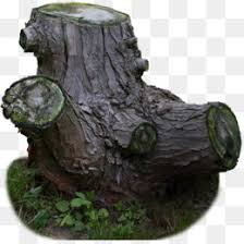 Tree with 5 apples coloring pages. Tree Stump Png Hollow Tree Stump Tree Stump Grinding Tree Stump Coloring Page Tree Stump With Roots Tree Stump Coloring Cleanpng Kisspng