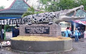 Bonbin merupakan salah satu pilihan rekreasi publik yang mudah . Berwisata Ke Penangkaran Buaya Terbesar Se Asia Di Bekasi Siap Siap Merinding Okezone Travel