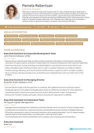 The resume is used to describe what you can accomplish professionally in a manner that also illustrates what you. Executive Assistant Resume Examples Guide For 2021