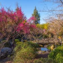 Shinzen Friendship Garden In Woodward Park Home Facebook