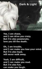 Pin Van Chaotic Confuse Op Wolf Pics Inspirerende Citaten Aanmoediging Citaten Wolf Citaten