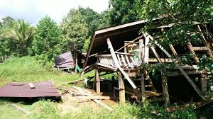 The experiences that i had in sabah, borneo are going. Malaysia Ensure Sabah Forestry Department Respect The Rights Of Indigenous Dusun Kiulu In Sungai Forest Reserve Aipp Press Statement Human Rights In Asean