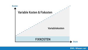 Kostenlose lieferung für viele artikel! Variable Kosten Definition Beispiele Zusammenfassung