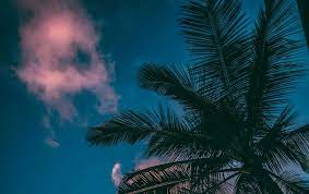 29 Summer Wallpaper Aesthetic Laptop Summer Vintage Et Aesthetic Image Sur We Heart It Discov Desktop Wallpaper Summer Summer Wallpaper Macbook Air Wallpaper