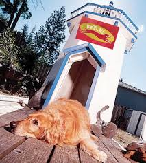 Man named to Roger Williams board