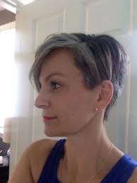 Pin On Growing Out My Silver Hair