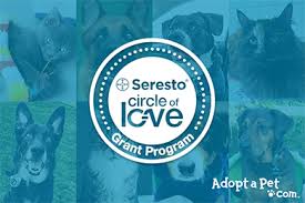Education, public safety and community awareness plays a key role in our mission. Adopt A Dog Or Cat Today Search For Local Pets In Need Of A Home