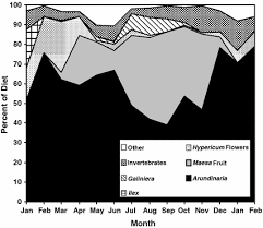 Image result for Galiniera
