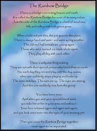 A beautiful pet dog memorial bereavement flexible fridge magnet with a choice of four. Rainbow Bridge Wallpapers Man Made Hq Rainbow Bridge Pictures 4k Wallpapers 2019