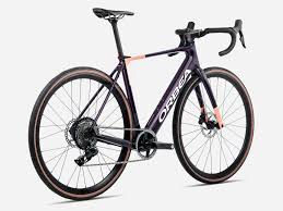 Image result for Orbea knobelii