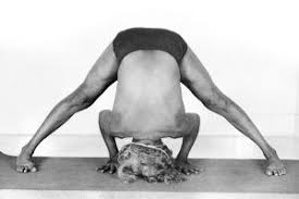 Posts About Asana On Iyengar Yoga With Cheree Low Iyengar Yoga Iyengar Yoga Thoughts