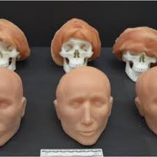 MU51 polymer skulls with moulded PDMS faces and scalps