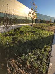 We install hard scapes including patios, retaining walls, water features, and decks. News Terry Guen Design Associates