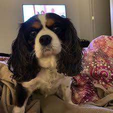 Deborah Walpole (@fourpunters) • Threads, Say more