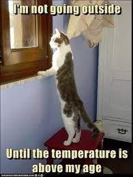 Baby It S Cold Outside Lolcats Lol Cat Memes Funny Cats Funny Cat Pictures With Words On Them Funny Pictures Lol Cat Memes Lol Cats