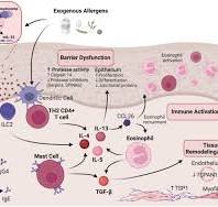 Breaking down the complex pathophysiology of eosinophilic ...
