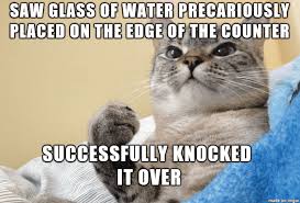 Funny Cat Meme About How Cats Love Knocking Things Over From The Edge Of The Counter Funny Cat Memes Crazy Cats Cats