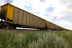 This car has been restored to the best of my ability and was fully rail ready and operable when i put it on rails in my yard. Progressrail New Reconditioned Freight Cars