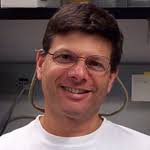 Kopan and Sibley named to Wolff professorships