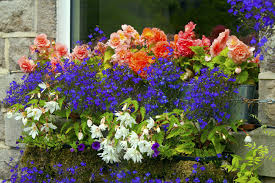 Check spelling or type a new query. 40 Window And Balcony Flower Box Ideas Photos Home Stratosphere