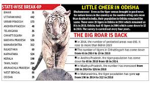 India Home To 2 967 Tigers Says Census Revealed On Global