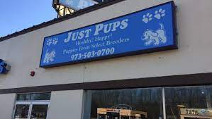 Let's let mayor joeseph panullo know that we will not support this cruelty in our own home town. Just Pups Settles Misuse Claims Exiting N J
