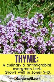 For example, if you like. Purple Flowers The Ultimate Guide Including Herbs Shrubs And Trees